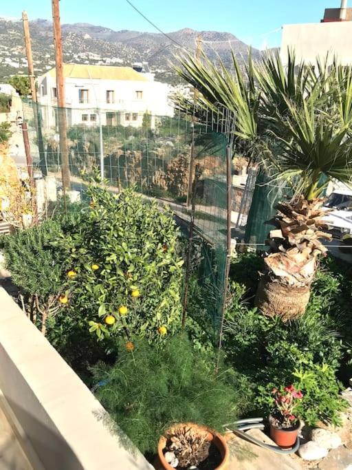 آغيوس نيكولاوس Cretan Home From Home المظهر الخارجي الصورة
